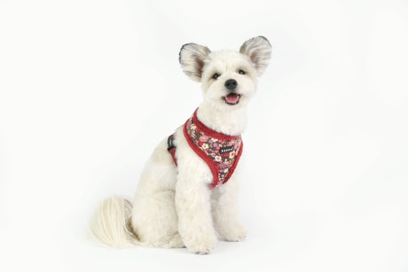 Puppia Gianni Harness Model A Wine hondentuig > honden harnas > model A Small