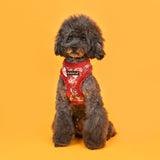 Puppia Gianni Harness Model A Wine - Premium hondentuig > honden harnas from Puppia - Just €27.99! Shop now at Frenkiezdogshop