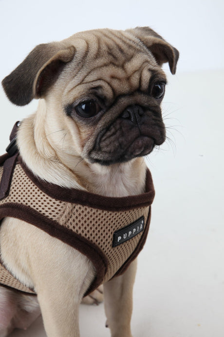 Puppia Soft Vest Harness model B beige hondentuig > honden harnas > model B X - Small