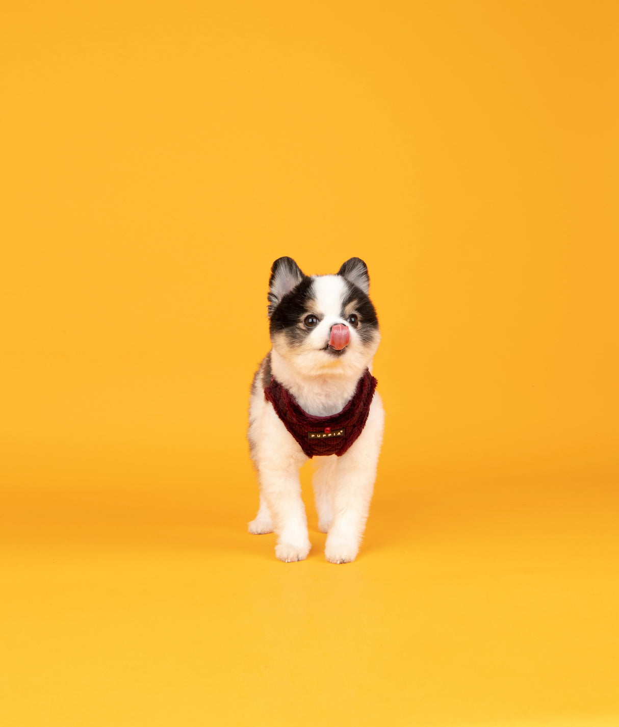 Puppia Vest Harness B Gaspar Wine - Premium hondentuig > honden harnas from Puppia - Just €30.99! Shop now at Frenkiezdogshop