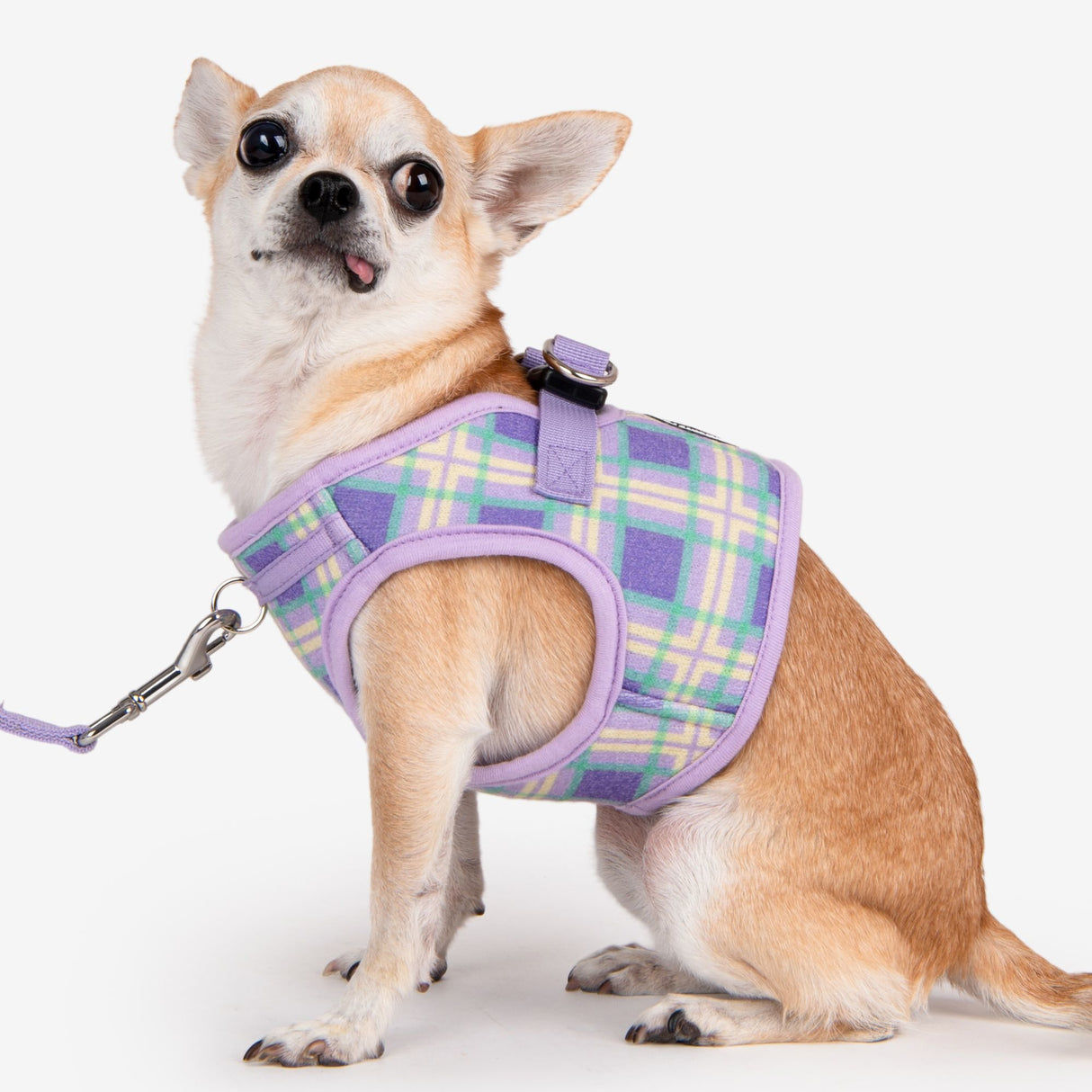 Puppia Jaylen Vest Harness model B Violet - Premium hondentuig > honden harnas from Puppia - Just €33.99! Shop now at Frenkiezdogshop