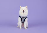 Puppia Elyse Vest Harness model B Navy - Premium hondentuig > honden harnas from Puppia - Just €24.99! Shop now at Frenkiezdogshop