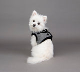 Puppia Vest Harness B Gaspar Black - Premium hondentuig > honden harnas from Puppia - Just €30.99! Shop now at Frenkiezdogshop