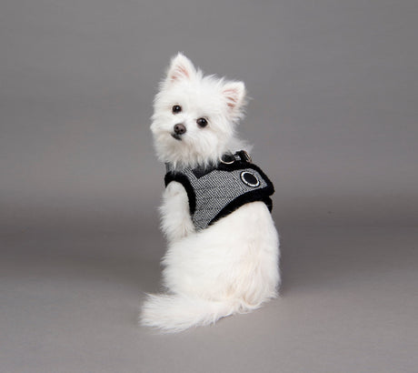 Puppia Vest Harness B Gaspar Black hondentuig > honden harnas > model B Small