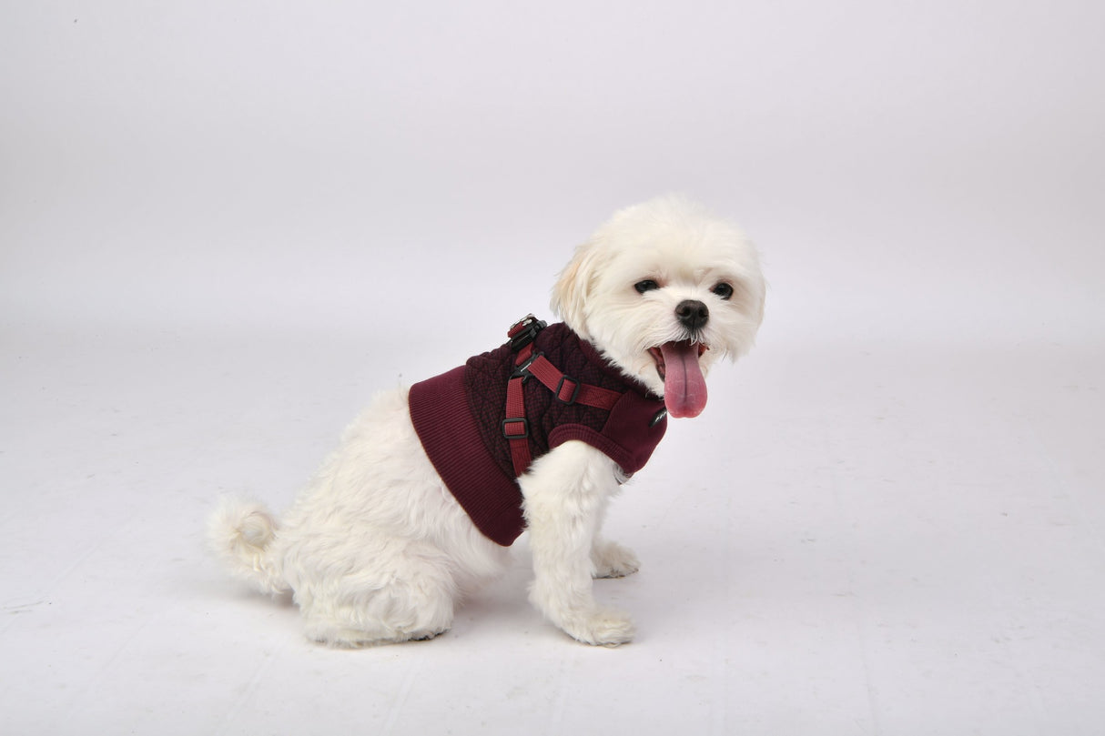 Puppia Sweater Harness J Gaspar Wine - Premium Hondenkleding > Hondentrui from Puppia - Just €35.99! Shop now at Frenkiezdogshop