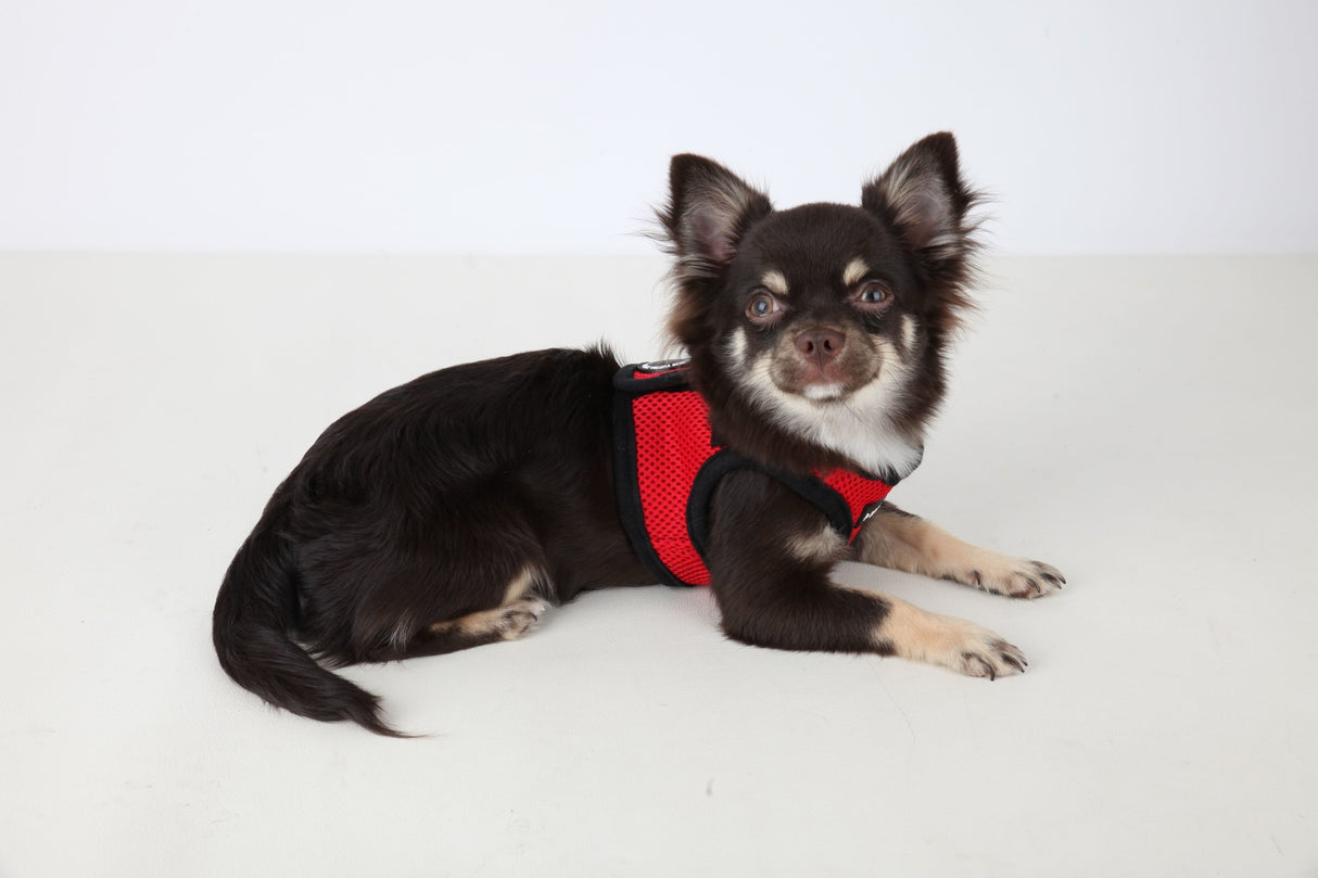 Puppia Soft Vest Harness model B red - Premium hondentuig > honden harnas from Puppia - Just €18.99! Shop now at Frenkiezdogshop