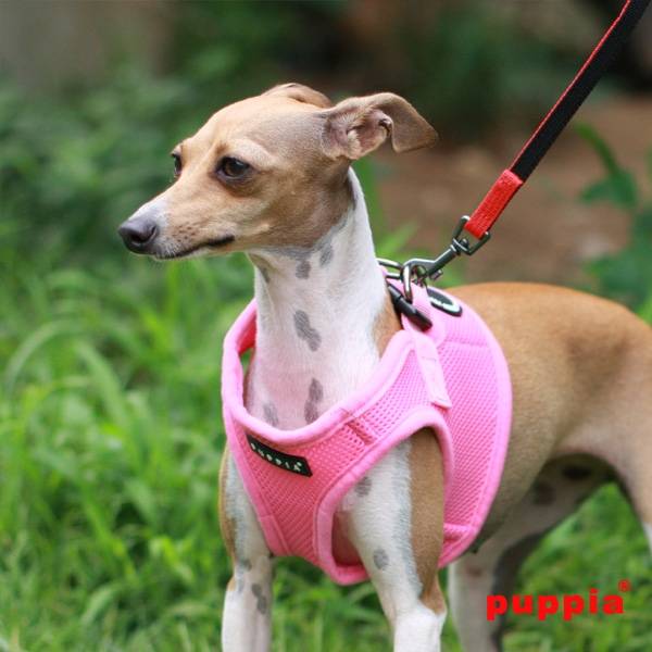 Puppia Soft Vest Harness model B pink - Premium hondentuig > honden harnas from Puppia - Just €18.99! Shop now at Frenkiezdogshop