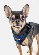 Puppia Soft Harness Ritefit Royal Blue - Premium hondentuig > honden harnas from Puppia - Just €19.99! Shop now at Frenkiezdogshop