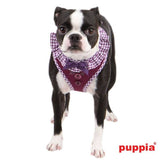 Puppia Vivien Harness model A purple - Premium hondentuig > honden harnas from Puppia - Just €21.99! Shop now at Frenkiezdogshop