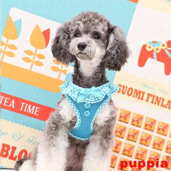 Puppia Vivien Harness model A skyblue - Premium hondentuig > honden harnas from Puppia - Just €21.99! Shop now at Frenkiezdogshop