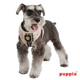 Puppia Junior Harness model A beige - Premium hondentuig > honden harnas from Puppia - Just €24.99! Shop now at Frenkiezdogshop