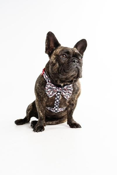 Big and Little Dogs Strap Harness Panda Panda ( Large ) - Premium hondentuig > honden harnas from Big and Little Dogs - Just €19.99! Shop now at Frenkiezdogshop