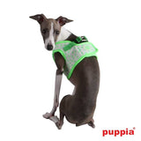 Puppia Cosmic Harness model B fluo-green (alleen nog Large) - Premium hondentuig > honden harnas from Puppia - Just €17.99! Shop now at Frenkiezdogshop