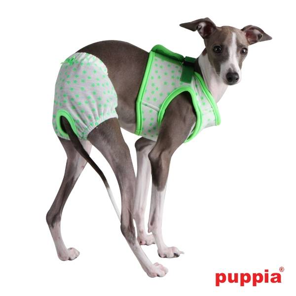 Puppia Loopsheidbroekjes Taffy Green ( MEDIUM ) - Premium Loopsheidbroekje > Periodebroekje from Puppia - Just €15.99! Shop now at Frenkiezdogshop