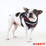 Puppia EOS Harness model A Navy (Alleen XL) - Premium hondentuig > honden harnas from Puppia - Just €14.99! Shop now at Frenkiezdogshop