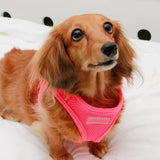 Puppia Soft Vest Harness model B Neon pink - Premium hondentuig > honden harnas from Puppia - Just €22.99! Shop now at Frenkiezdogshop