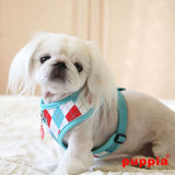 Puppia Argyle Harness model A Aqua ( ALLEEN LARGE ) - Premium hondentuig > honden harnas from Puppia - Just €20.99! Shop now at Frenkiezdogshop