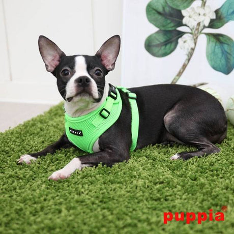 Puppia Neon Soft Harness Ritefit II Green hondentuig > honden harnas > model A Small
