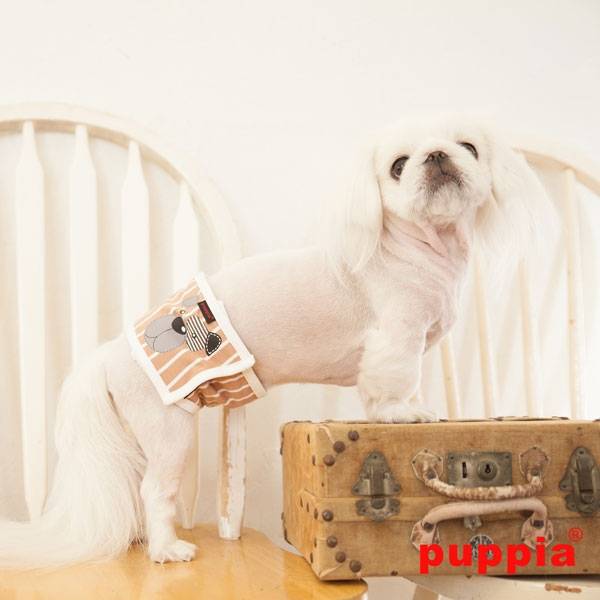 Puppia Manner Band Boomer Beige (alleen Large) - Premium Plasband > Manner band from Puppia - Just €16.99! Shop now at Frenkiezdogshop