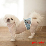 Puppia Manner Band Boomer Blue - Premium Plasband > Manner band from Puppia - Just €16.99! Shop now at Frenkiezdogshop