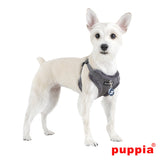 Puppia Troy Harness model C Grey - Premium hondentuig > honden harnas from Puppia - Just €28.99! Shop now at Frenkiezdogshop