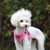 Puppia Soft Harness model C Pink - Premium hondentuig > honden harnas from Puppia - Just €23.99! Shop now at Frenkiezdogshop