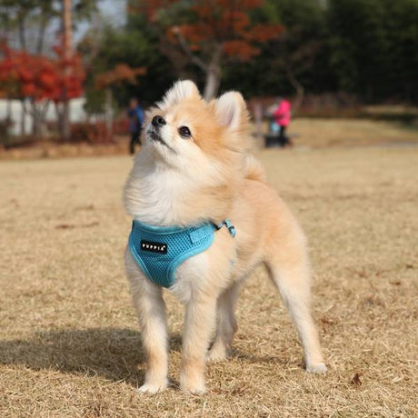 Puppia Soft Harness model C Skyblue hondentuig > honden harnas > model C Small