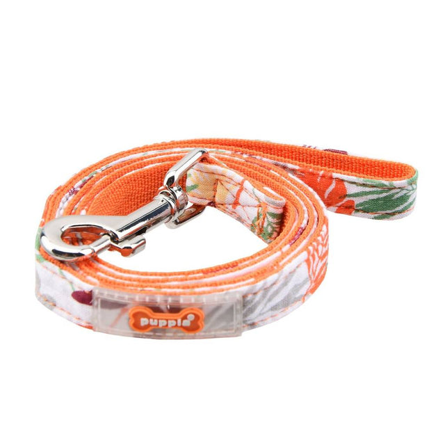 Puppia Rowan Lijn Orange - Premium hondenriem > hondenlijn from Puppia - Just €12.99! Shop now at Frenkiezdogshop