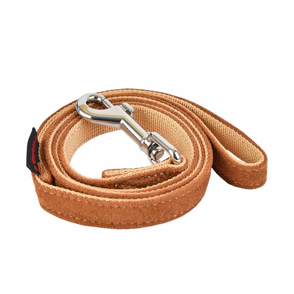 Puppia Terry riem brown - Premium hondenriem > hondenlijn from Puppia - Just €15.99! Shop now at Frenkiezdogshop