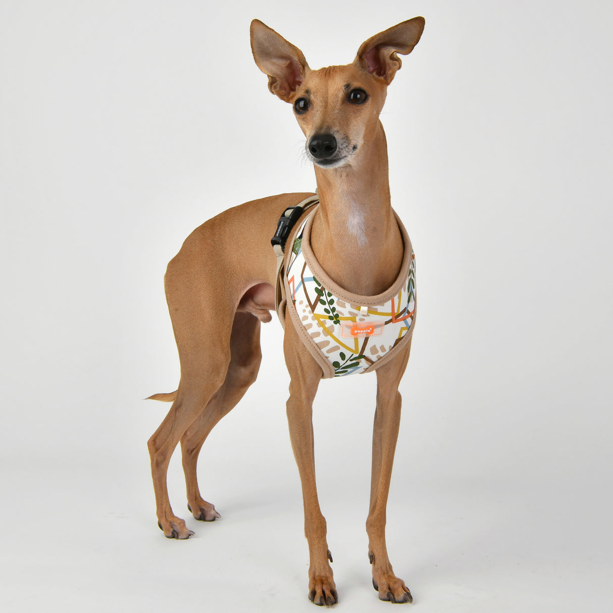 Puppia Botanical Harness Model A Beige - Premium hondentuig > honden harnas from Puppia - Just €23.99! Shop now at Frenkiezdogshop