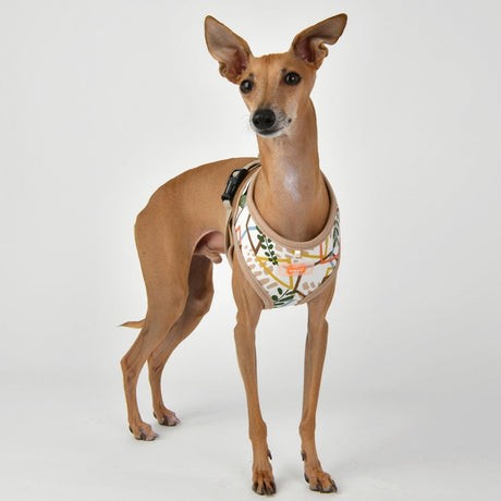 Puppia Botanical Harness Model A Beige hondentuig > honden harnas > model A Small