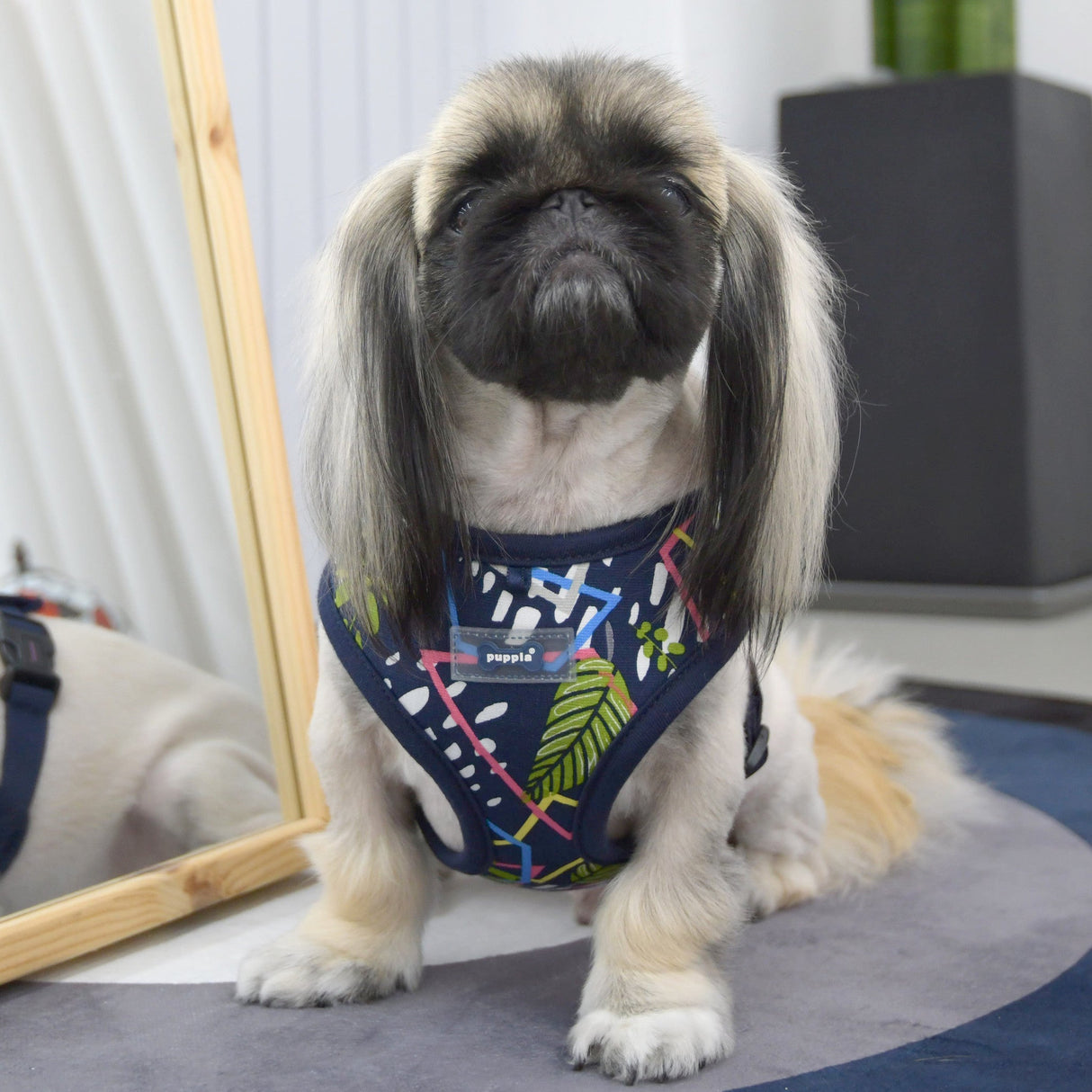 Puppia Botanical Harness Model A Navy - Premium hondentuig > honden harnas from Puppia - Just €23.99! Shop now at Frenkiezdogshop