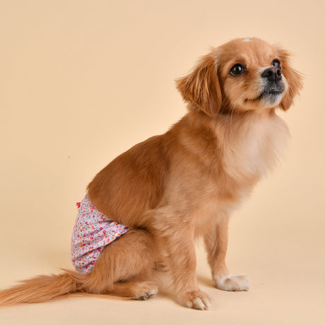 Puppia Loopsheidbroekje Wildflower Pink Loopsheidbroekje > Periodebroekje Small