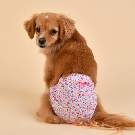 Puppia Loopsheidbroekje Wildflower Pink Loopsheidbroekje > Periodebroekje Small