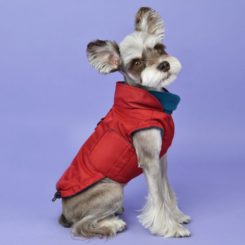 Puppia Tomas Jacket Harness Wine - Premium Hondenkleding > hondenjas from Puppia - Just €72.99! Shop now at Frenkiezdogshop