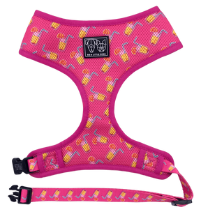 Big & Little Dogs Classic Harness Pawty Punch - Premium hondentuig > honden harnas from Big and Little Dogs - Just €10! Shop now at Frenkiezdogshop