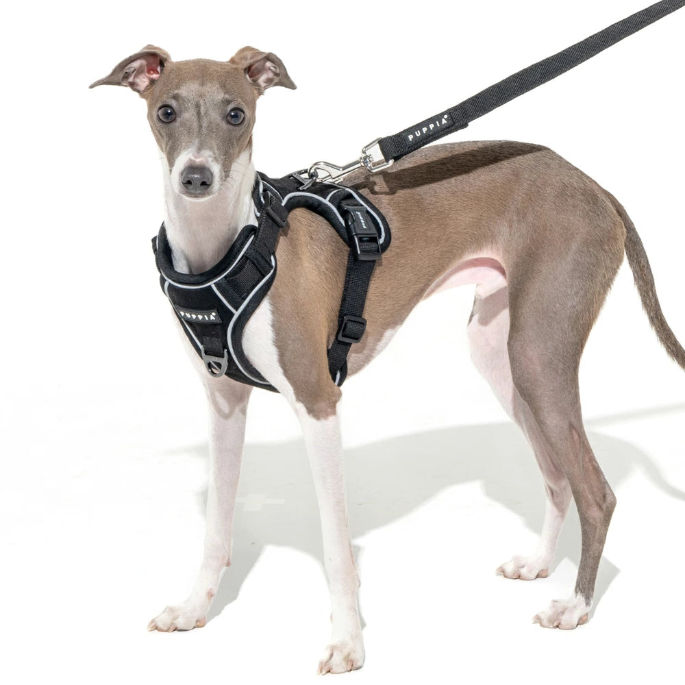 Puppia Terry Harness model H Black - Premium hondentuig > honden harnas from Puppia - Just €39.99! Shop now at Frenkiezdogshop