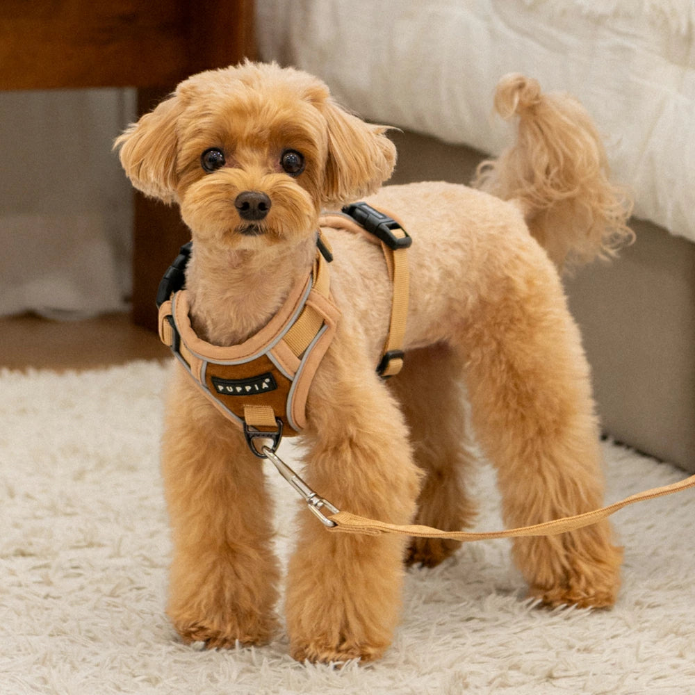 Puppia Terry Harness model H Beige - Premium hondentuig > honden harnas from Puppia - Just €39.99! Shop now at Frenkiezdogshop