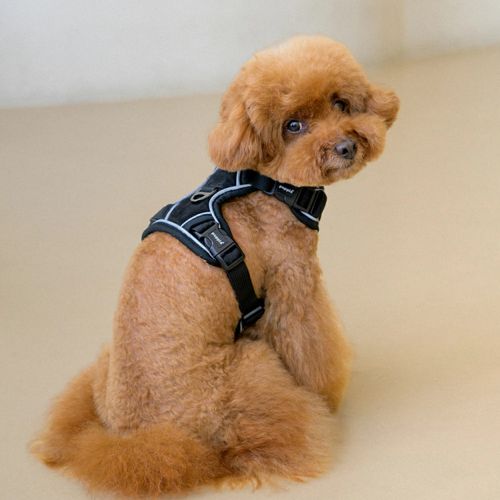 Puppia Terry Harness model H Black - Premium hondentuig > honden harnas from Puppia - Just €39.99! Shop now at Frenkiezdogshop