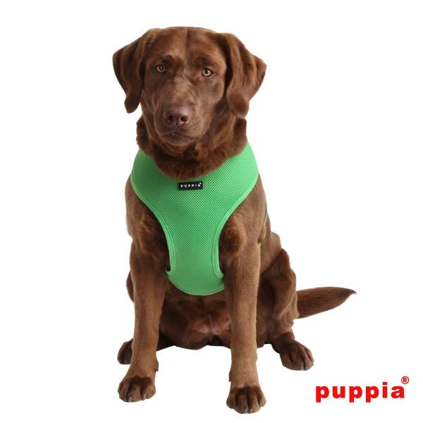 Puppia Soft Harness model A green - Premium hondentuig > honden harnas from Puppia - Just €18.99! Shop now at Frenkiezdogshop