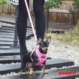 Puppia Soft Harness model A pink - Premium hondentuig > honden harnas from Puppia - Just €18.99! Shop now at Frenkiezdogshop