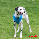 Puppia Soft Harness model A skyblue - Premium hondentuig > honden harnas from Puppia - Just €18.99! Shop now at Frenkiezdogshop