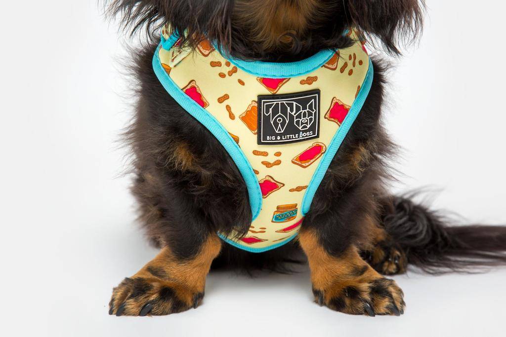 Big and Little Dogs Adjustable Dog Harness Peanut Butter Jelly Time ( XLARGE ) - Premium hondentuig > honden harnas from Big and Little Dogs - Just €25.99! Shop now at Frenkiezdogshop