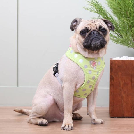 Pinkaholic Chic Harness Lime hondentuig > honden harnas > model A X - Small