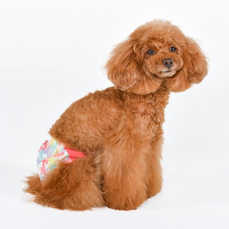 Pinkaholic Diana Sanitary Panty Fanta – Loopsheidbroekje voor Kleine Honden Loopsheidbroek > Periodebroekje Small