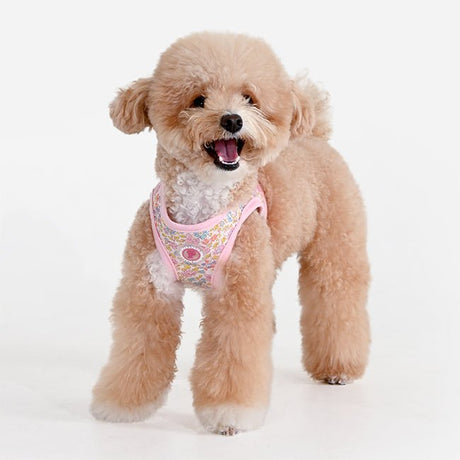 Pinkaholic Ione Vest Harness Light Pink – Zacht Katoenen Hondentuigje voor Kleine Honden hondentuig > honden harnas > model B Small
