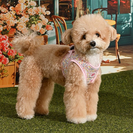 Pinkaholic Ione Vest Harness Light Pink – Zacht Katoenen Hondentuigje voor Kleine Honden hondentuig > honden harnas > model B Small