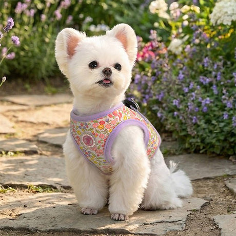 Pinkaholic Ione Vest Harness Violet – Zacht Katoenen Hondentuigje voor Kleine Honden hondentuig > honden harnas > model B Small