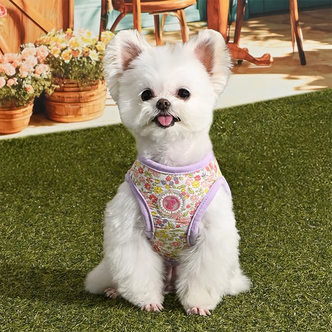 Pinkaholic Ione Vest Harness Violet – Zacht Katoenen Hondentuigje voor Kleine Honden hondentuig > honden harnas > model B Small