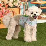 Pinkaholic Kiki Pinka Harness J Light Blue – Katoenen Hondenjas voor Kleine Honden hondentuig > honden harnas > model B Small